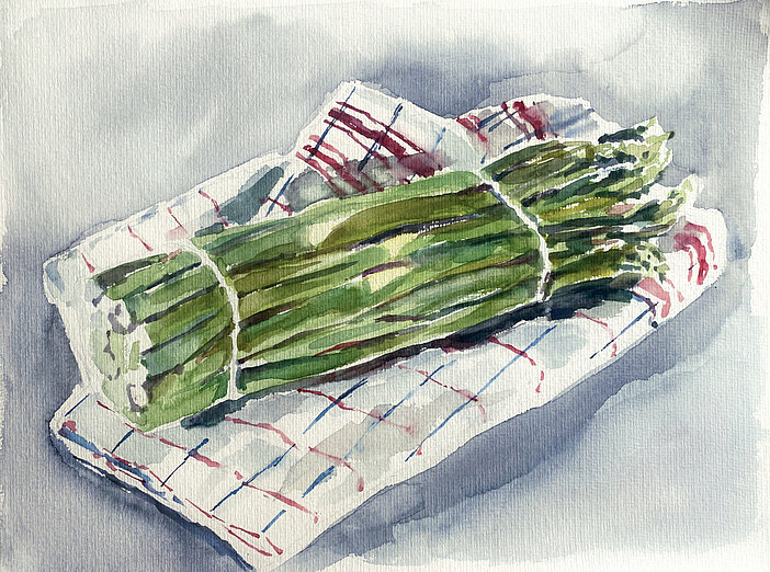 Grüner Spargel auf Geschirrtuch